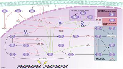 Non-Coding RNAs Associated With Radioresistance in Triple-Negative Breast Cancer